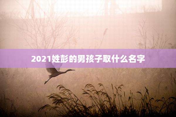 2021姓彭的男孩子取什么名字