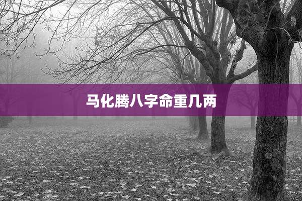 马化腾八字命重几两
