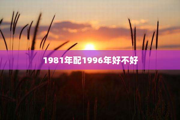 1981年配1996年好不好