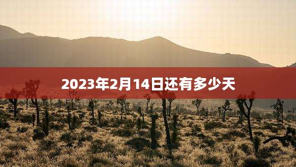 2023年2月14日还有多少天
