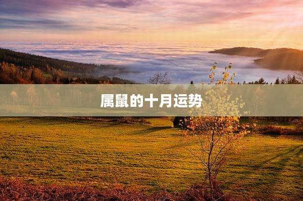 属鼠的十月运势