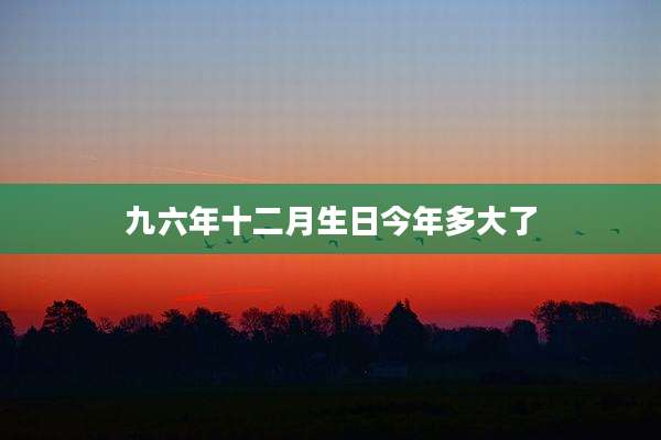 九六年十二月生日今年多大了