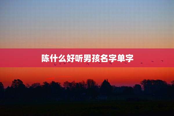陈什么好听男孩名字单字