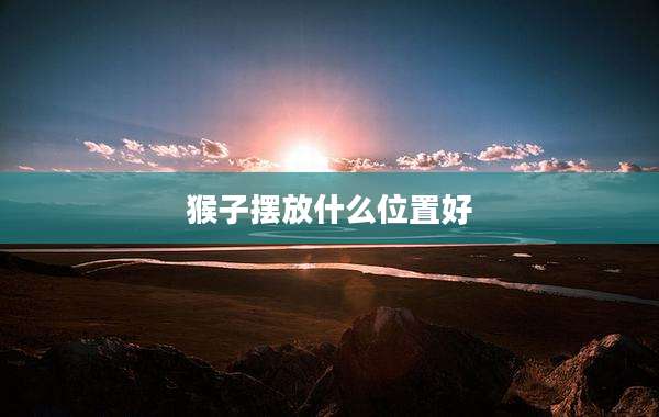 猴子摆放什么位置好