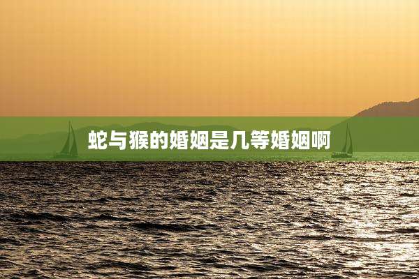蛇与猴的婚姻是几等婚姻啊