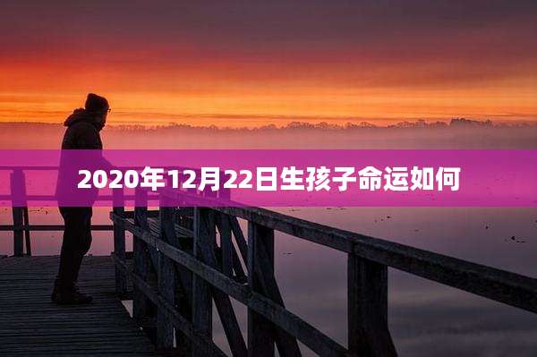 2020年12月22日生孩子命运如何