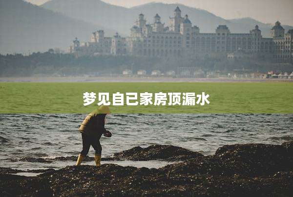 梦见自已家房顶漏水