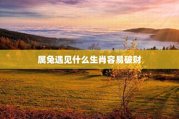 属兔遇见什么生肖容易破财