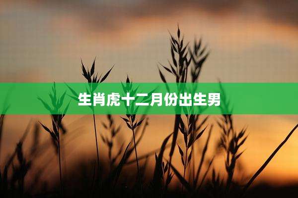 生肖虎十二月份出生男