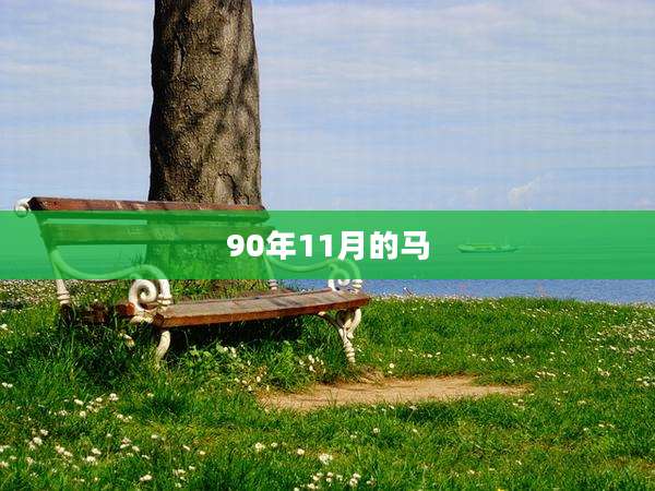 90年11月的马