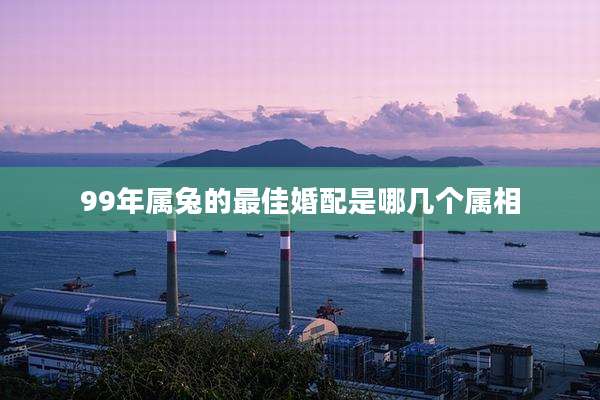 99年属兔的最佳婚配是哪几个属相