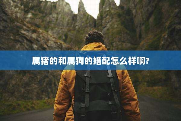 属猪的和属狗的婚配怎么样啊?