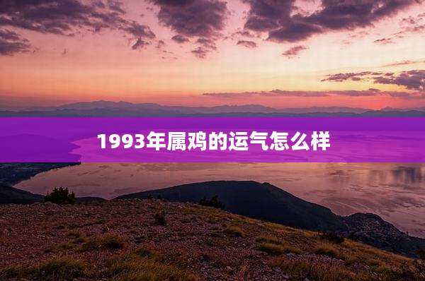 1993年属鸡的运气怎么样