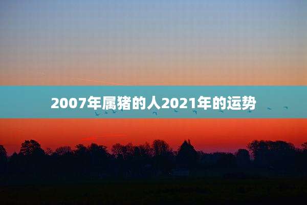 2007年属猪的人2021年的运势