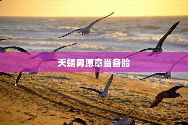 天蝎男愿意当备胎
