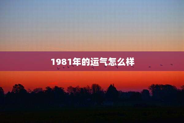 1981年的运气怎么样