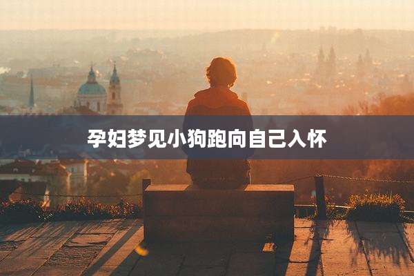 孕妇梦见小狗跑向自己入怀