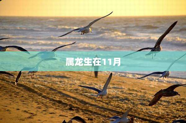 属龙生在11月