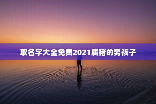 取名字大全免费2021属猪的男孩子