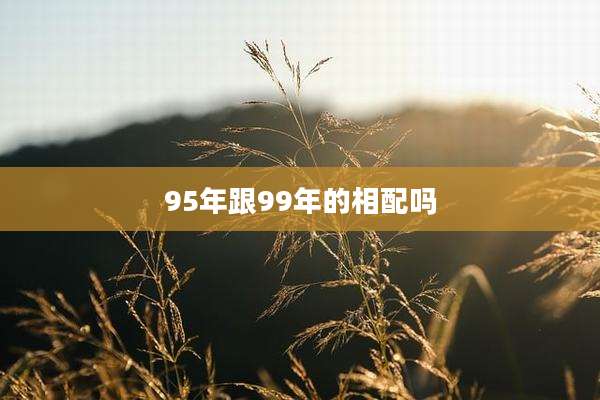 95年跟99年的相配吗