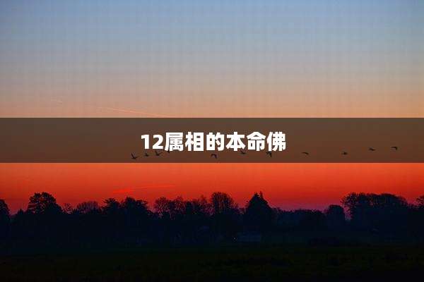 12属相的本命佛