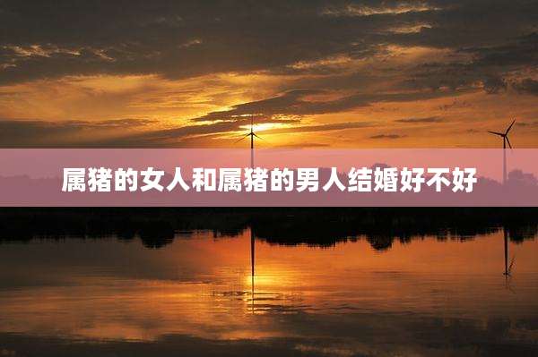属猪的女人和属猪的男人结婚好不好