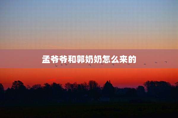 孟爷爷和郭奶奶怎么来的