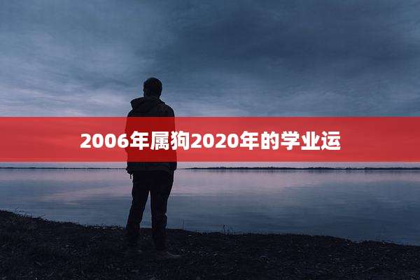 2006年属狗2020年的学业运