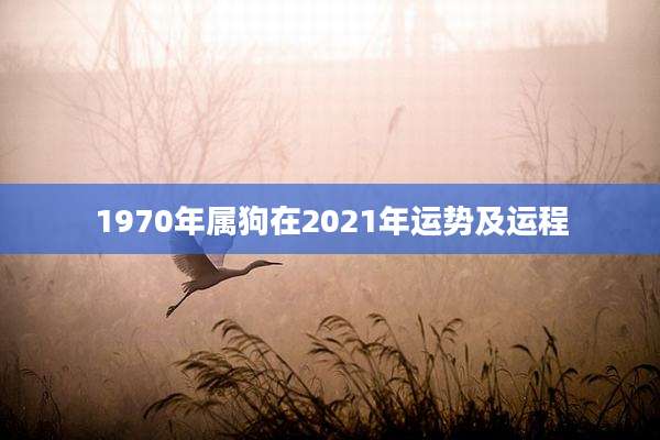 1970年属狗在2021年运势及运程