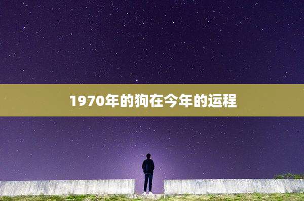 1970年的狗在今年的运程