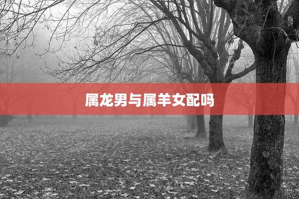 属龙男与属羊女配吗