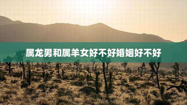 属龙男和属羊女好不好婚姻好不好
