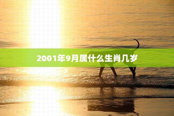 2001年9月属什么生肖几岁