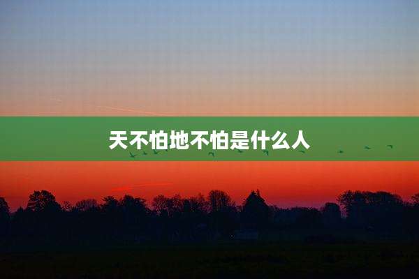 天不怕地不怕是什么人