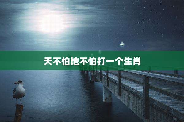 天不怕地不怕打一个生肖