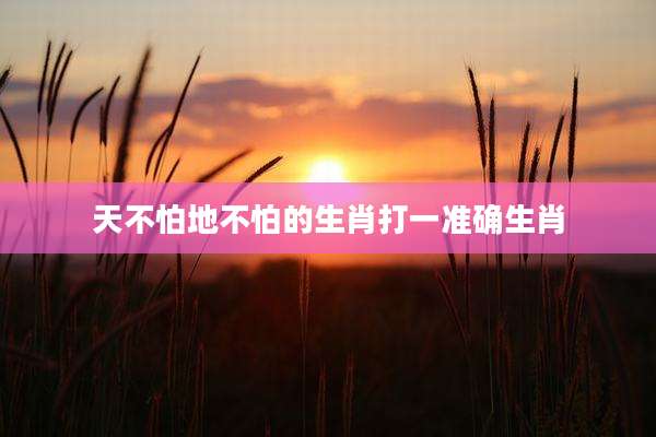 天不怕地不怕的生肖打一准确生肖