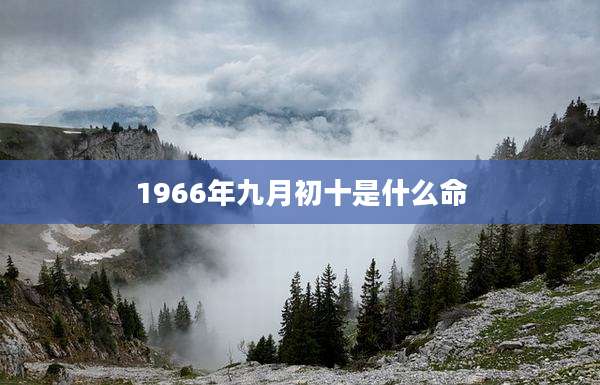 1966年九月初十是什么命