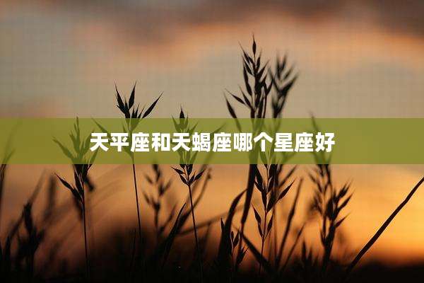 天平座和天蝎座哪个星座好