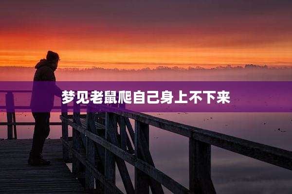 梦见老鼠爬自己身上不下来