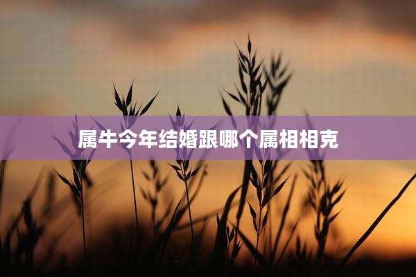 属牛今年结婚跟哪个属相相克
