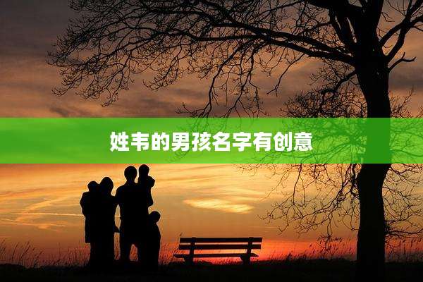 姓韦的男孩名字有创意