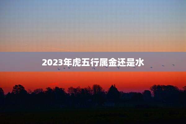 2023年虎五行属金还是水