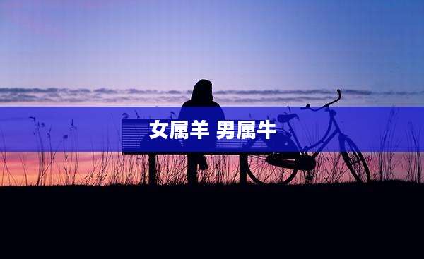 女属羊 男属牛
