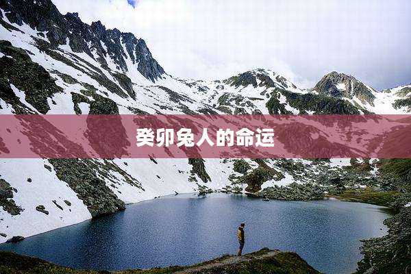 癸卯兔人的命运