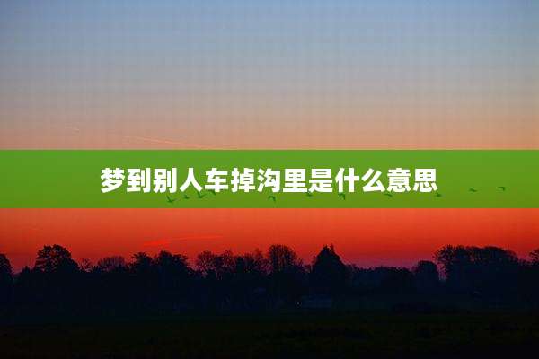 梦到别人车掉沟里是什么意思