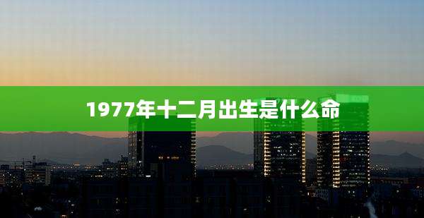 1977年十二月出生是什么命