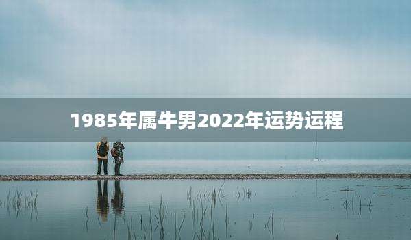 1985年属牛男2022年运势运程