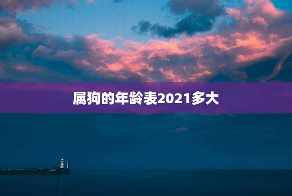 属狗的年龄表2021多大