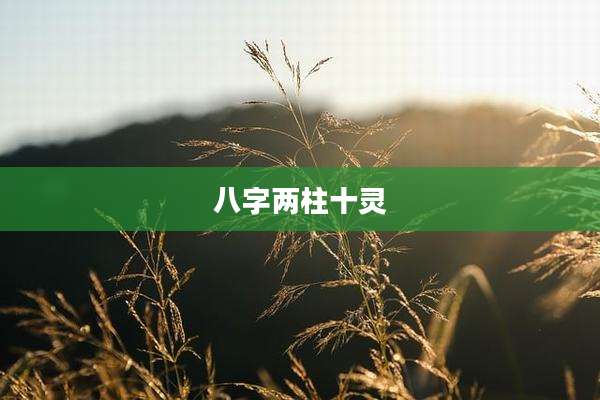 八字两柱十灵