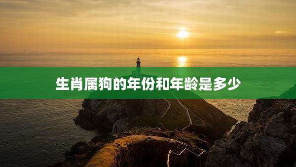 生肖属狗的年份和年龄是多少
